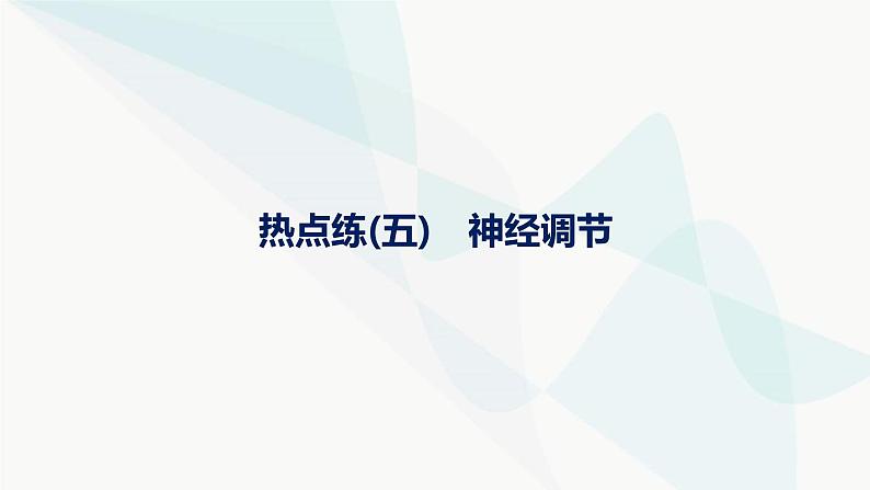 浙科版高考生物一轮复习热点练5神经调节课件01