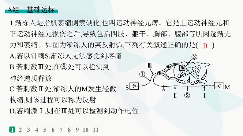 浙科版高考生物一轮复习热点练5神经调节课件02