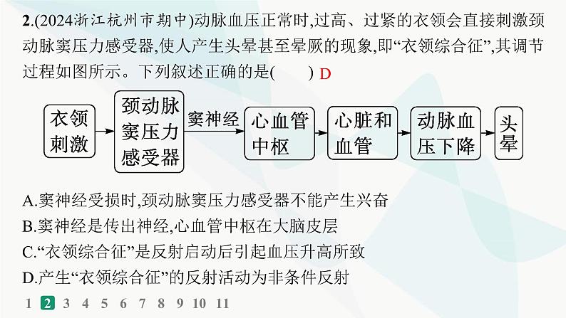 浙科版高考生物一轮复习热点练5神经调节课件04