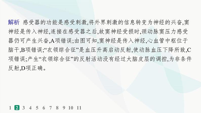 浙科版高考生物一轮复习热点练5神经调节课件05