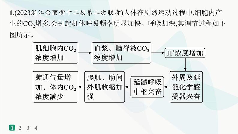 浙科版高考生物一轮复习热点练6体液调节课件02