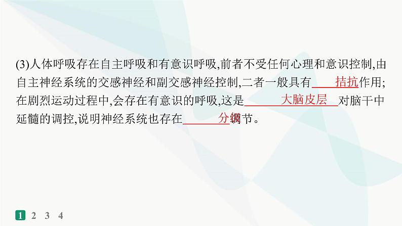 浙科版高考生物一轮复习热点练6体液调节课件04