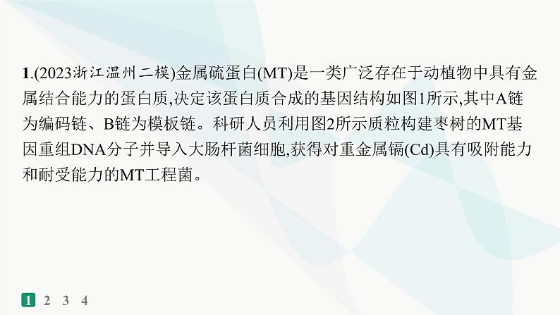 浙科版高考生物一轮复习热点练9新情境下基因工程的综合应用课件第2页