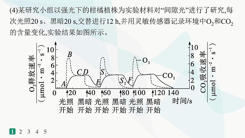 浙科版高考生物一轮复习非选择题限时练2课件第4页