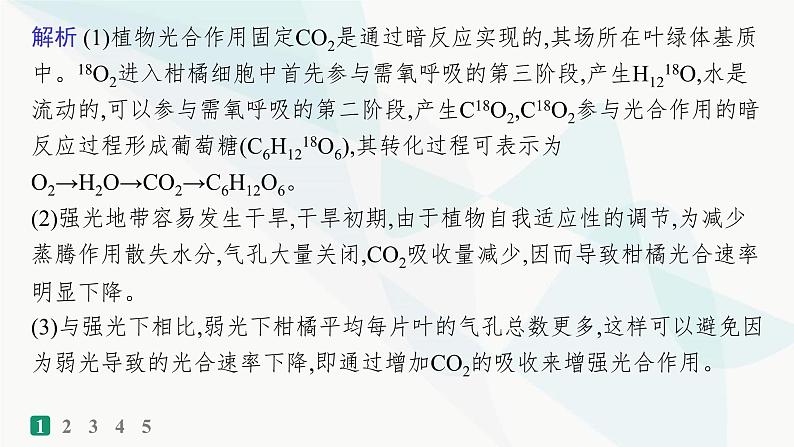 浙科版高考生物一轮复习非选择题限时练2课件第6页