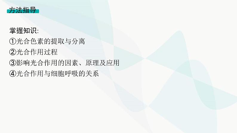 浙科版高考生物一轮复习命题热点突破2新情境下光合作用相关知识的综合应用课件第4页