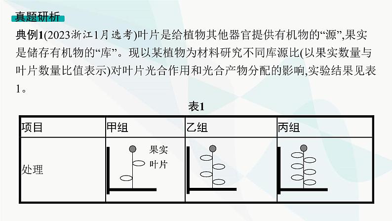 浙科版高考生物一轮复习命题热点突破2新情境下光合作用相关知识的综合应用课件第6页