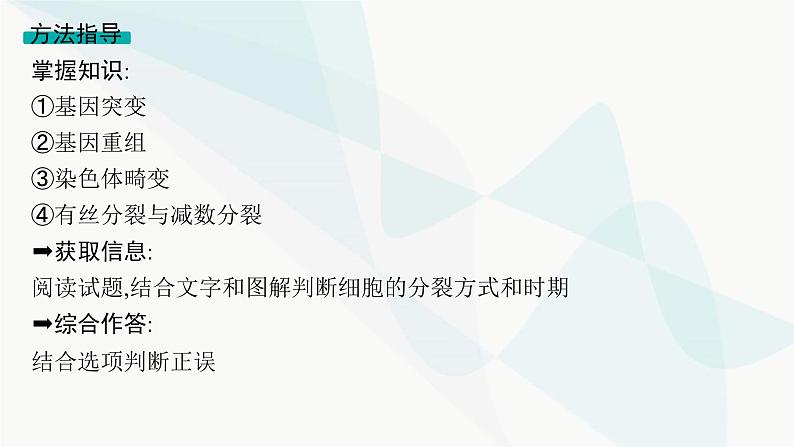 浙科版高考生物一轮复习命题热点突破4细胞增殖与遗传变异课件03