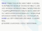 浙科版高考生物一轮复习命题热点突破4细胞增殖与遗传变异课件