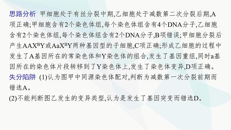 浙科版高考生物一轮复习命题热点突破4细胞增殖与遗传变异课件05