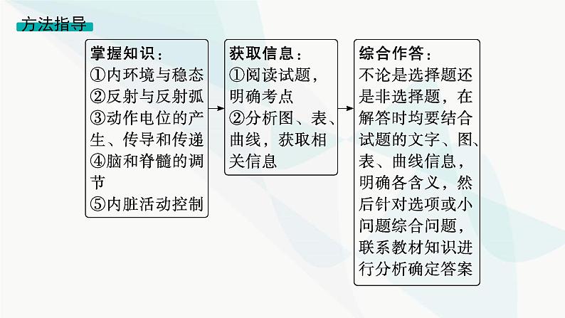 浙科版高考生物一轮复习命题热点突破5神经调节课件04