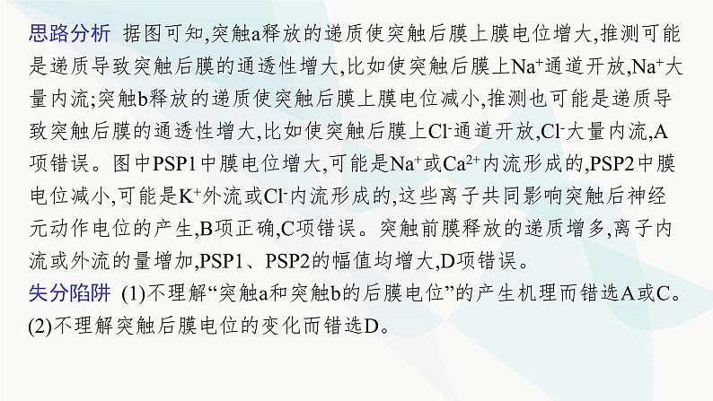 浙科版高考生物一轮复习命题热点突破5神经调节课件06