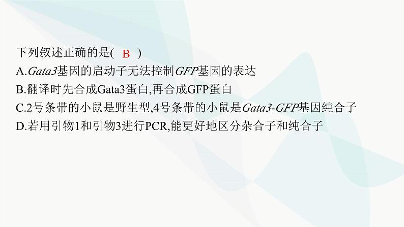 浙科版高考生物一轮复习命题热点突破9新情境下基因工程的综合应用课件第5页