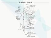浙科版高考生物一轮复习第1单元细胞的分子组成与结构第1讲细胞中的无机物、糖类和脂质课件