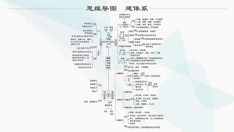 浙科版高考生物一轮复习第1单元细胞的分子组成与结构第1讲细胞中的无机物、糖类和脂质课件02