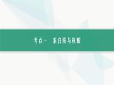 浙科版高考生物一轮复习第1单元细胞的分子组成与结构第2讲蛋白质与核酸课件