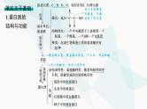 浙科版高考生物一轮复习第1单元细胞的分子组成与结构第2讲蛋白质与核酸课件