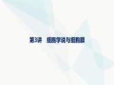 浙科版高考生物一轮复习第1单元细胞的分子组成与结构第3讲细胞学说与细胞膜课件