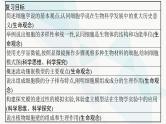 浙科版高考生物一轮复习第1单元细胞的分子组成与结构第3讲细胞学说与细胞膜课件