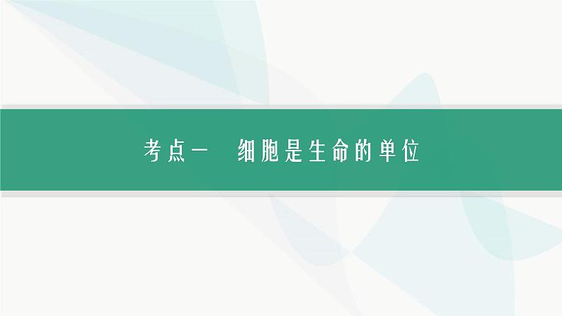 浙科版高考生物一轮复习第1单元细胞的分子组成与结构第3讲细胞学说与细胞膜课件04