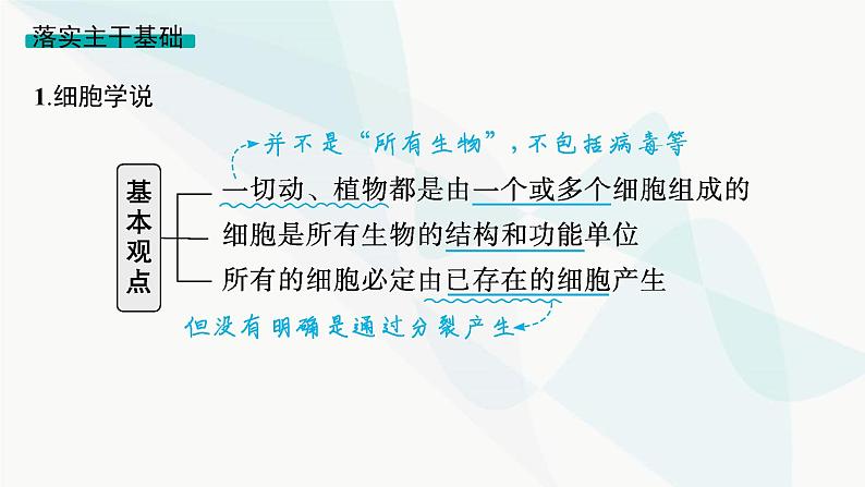 浙科版高考生物一轮复习第1单元细胞的分子组成与结构第3讲细胞学说与细胞膜课件05