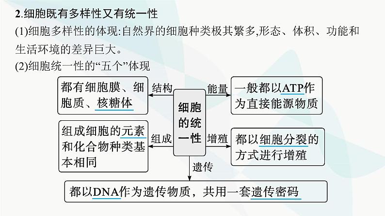 浙科版高考生物一轮复习第1单元细胞的分子组成与结构第3讲细胞学说与细胞膜课件07