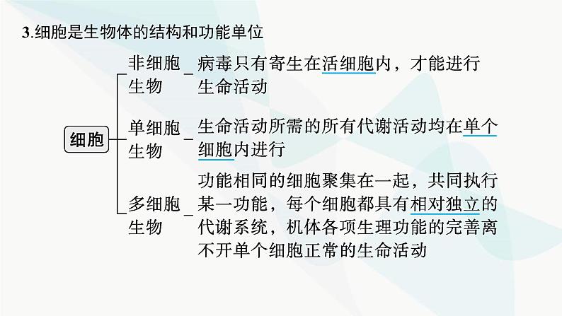 浙科版高考生物一轮复习第1单元细胞的分子组成与结构第3讲细胞学说与细胞膜课件08