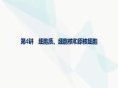 浙科版高考生物一轮复习第1单元细胞的分子组成与结构第4讲细胞质、细胞核和原核细胞课件
