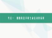 浙科版高考生物一轮复习第1单元细胞的分子组成与结构第4讲细胞质、细胞核和原核细胞课件