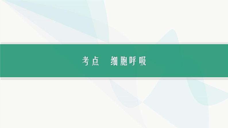 浙科版高考生物一轮复习第2单元细胞的代谢第7讲细胞呼吸为细胞生活提供能量课件03