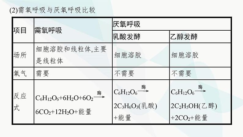 浙科版高考生物一轮复习第2单元细胞的代谢第7讲细胞呼吸为细胞生活提供能量课件06