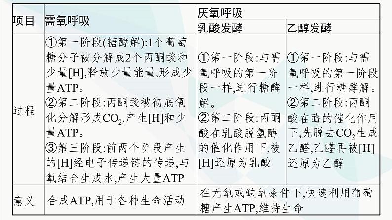 浙科版高考生物一轮复习第2单元细胞的代谢第7讲细胞呼吸为细胞生活提供能量课件07