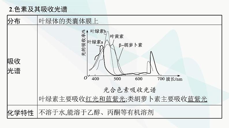 浙科版高考生物一轮复习第2单元细胞的代谢第8讲第1课时叶绿体与光合作用过程课件第6页