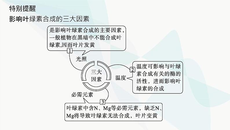 浙科版高考生物一轮复习第2单元细胞的代谢第8讲第1课时叶绿体与光合作用过程课件第8页