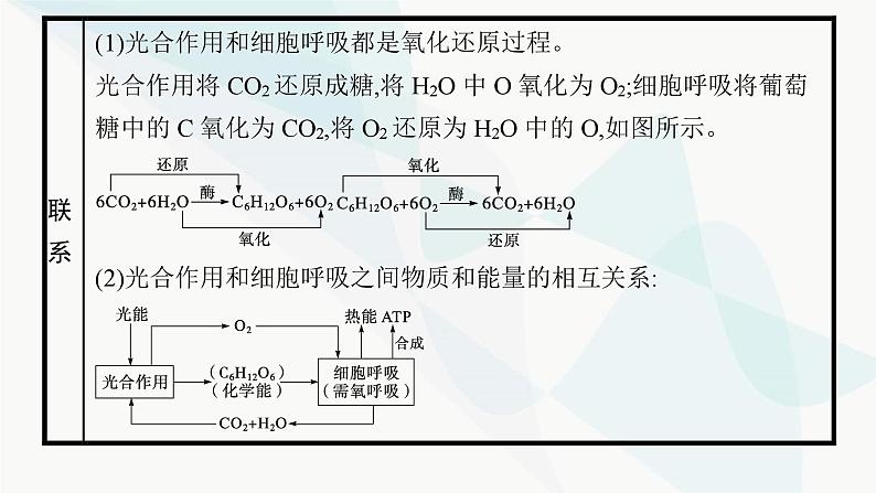 浙科版高考生物一轮复习第2单元细胞的代谢第8讲第3课时光合作用与细胞呼吸的综合课件第4页