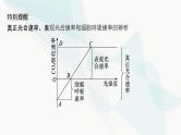 浙科版高考生物一轮复习第2单元细胞的代谢第8讲第3课时光合作用与细胞呼吸的综合课件