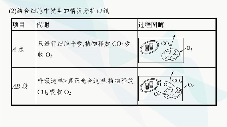 浙科版高考生物一轮复习第2单元细胞的代谢第8讲第3课时光合作用与细胞呼吸的综合课件第7页