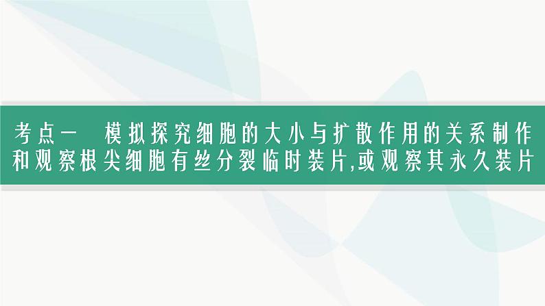 浙科版高考生物一轮复习第3单元细胞的生命历程第9讲细胞周期与有丝分裂课件第4页