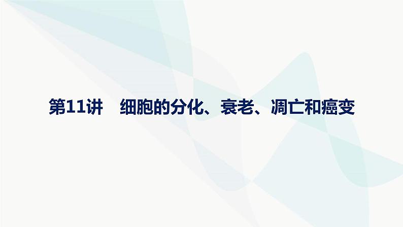 浙科版高考生物一轮复习第3单元细胞的生命历程第11讲细胞的分化、衰老、凋亡和癌变课件01