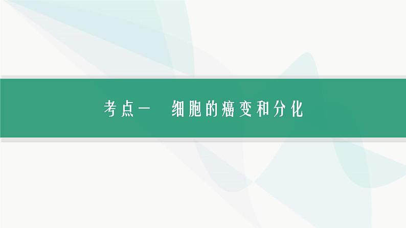 浙科版高考生物一轮复习第3单元细胞的生命历程第11讲细胞的分化、衰老、凋亡和癌变课件03