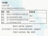 浙科版高考生物一轮复习第3单元细胞的生命历程第11讲细胞的分化、衰老、凋亡和癌变课件