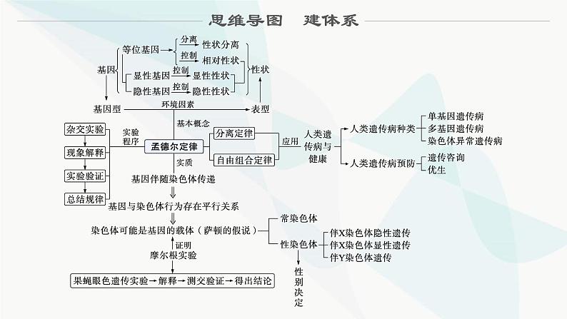 浙科版高考生物一轮复习第4单元遗传的基本规律及应用第12讲第1课时分离定律及其应用课件02