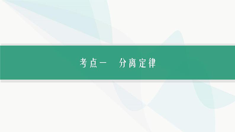 浙科版高考生物一轮复习第4单元遗传的基本规律及应用第12讲第1课时分离定律及其应用课件04