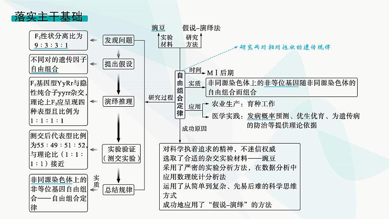 浙科版高考生物一轮复习第4单元遗传的基本规律及应用第13讲第1课时自由组合定律及其应用课件04