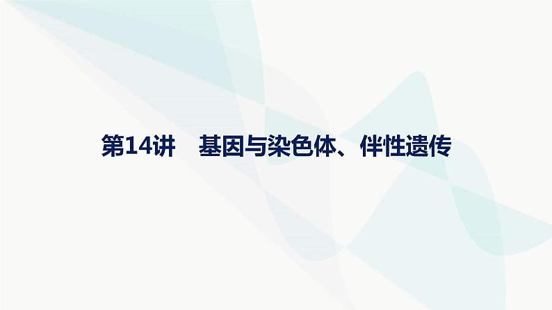 浙科版高考生物一轮复习第4单元遗传的基本规律及应用第14讲基因与染色体、伴性遗传课件01