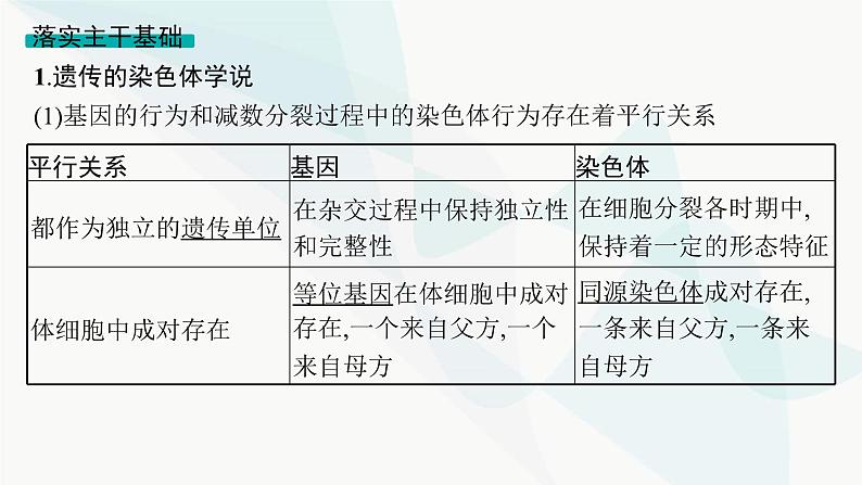 浙科版高考生物一轮复习第4单元遗传的基本规律及应用第14讲基因与染色体、伴性遗传课件04