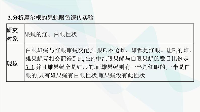 浙科版高考生物一轮复习第4单元遗传的基本规律及应用第14讲基因与染色体、伴性遗传课件06