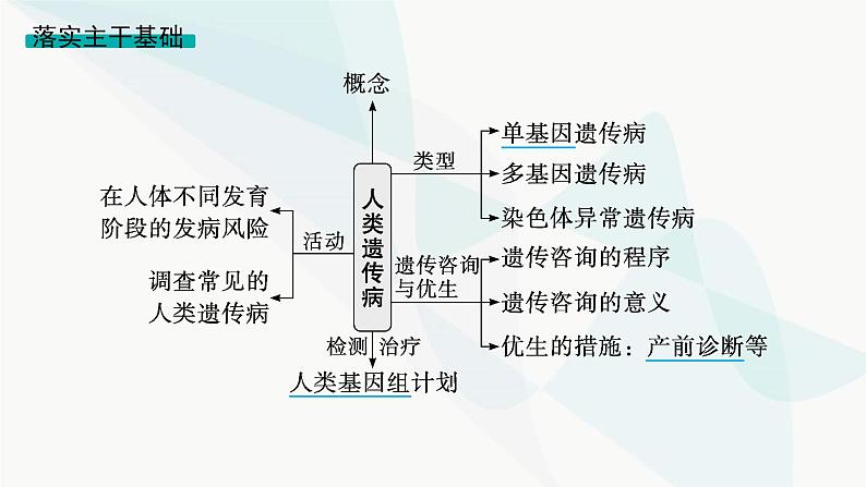 浙科版高考生物一轮复习第4单元遗传的基本规律及应用第15讲人类遗传病课件第4页