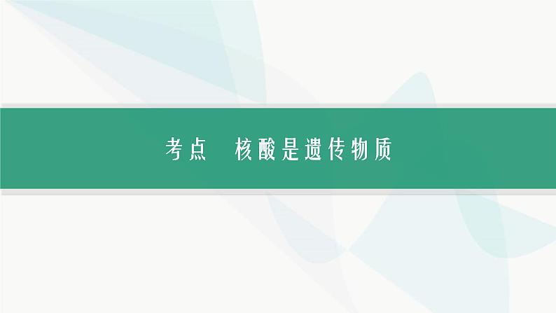 浙科版高考生物一轮复习第5单元遗传的分子基础第16讲核酸是遗传物质课件03