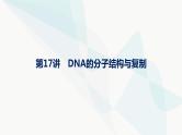 浙科版高考生物一轮复习第5单元遗传的分子基础第17讲DNA的分子结构与复制课件